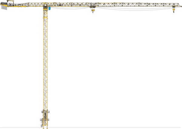 MCT805 Silhouette copy 1