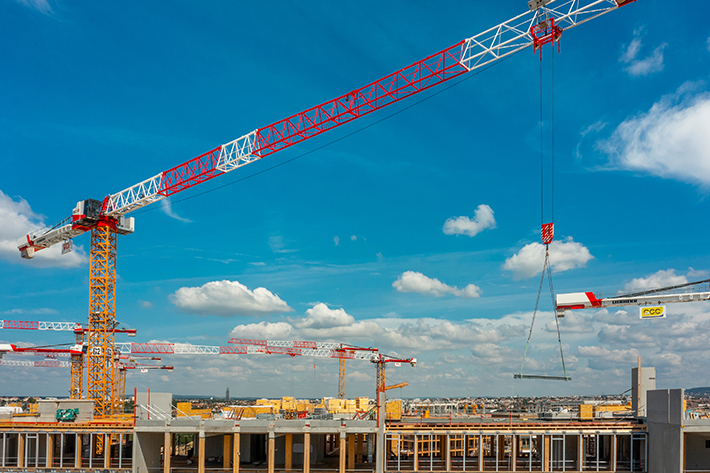 liebherr flat top cranes ec b arboretum france 2022 03 96dpi