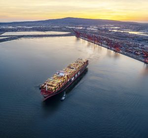 MSC Nela - Port of Long Beach CA
