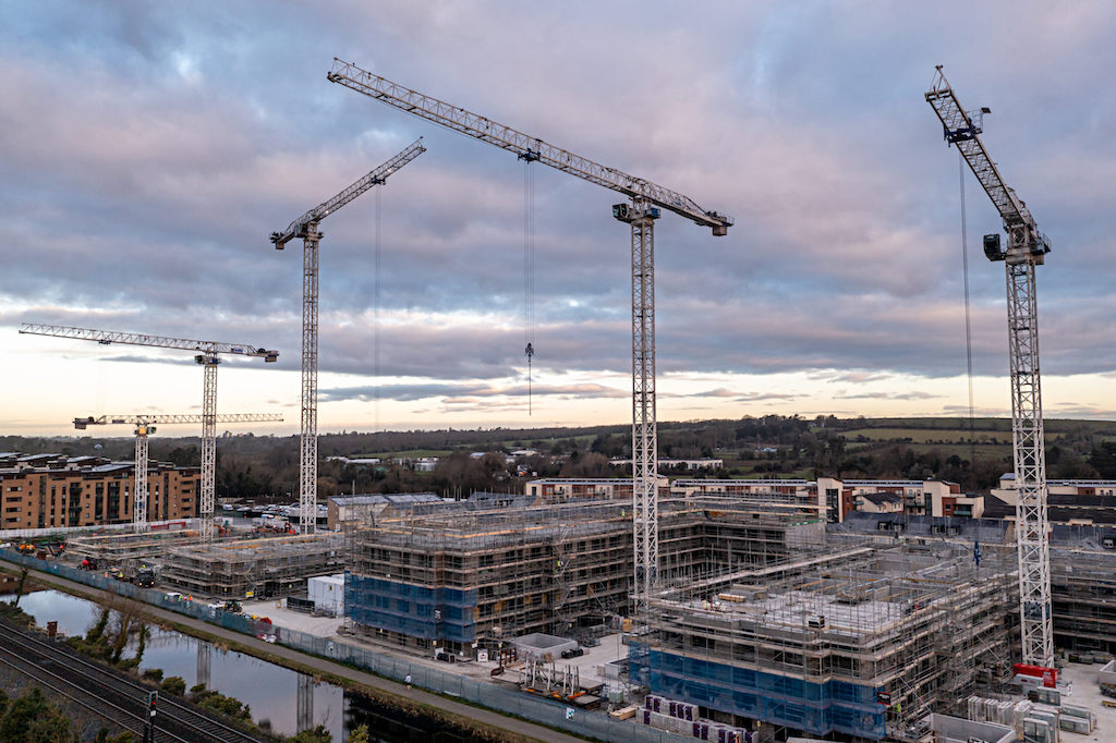 Irish Cranes