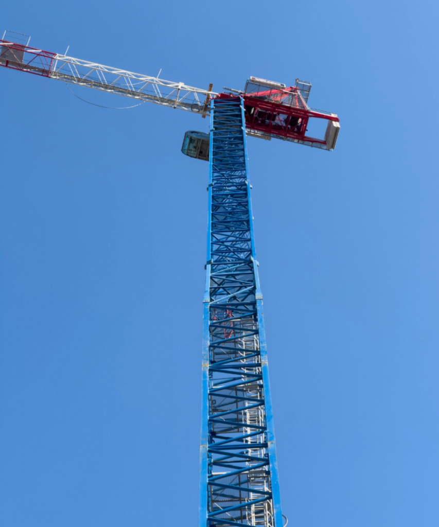 Raimondi LR213 The HiLight