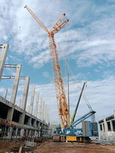 sarens